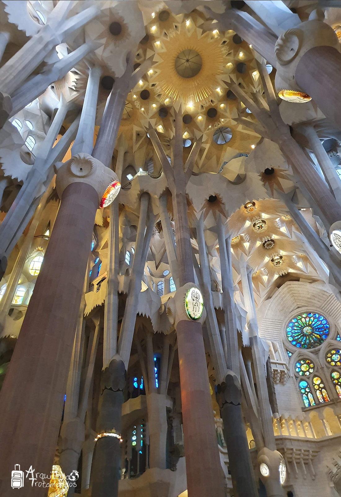 Bóvedas hiperboloides diseñadas por Gaudí en el techo de la Sagrada Familia.